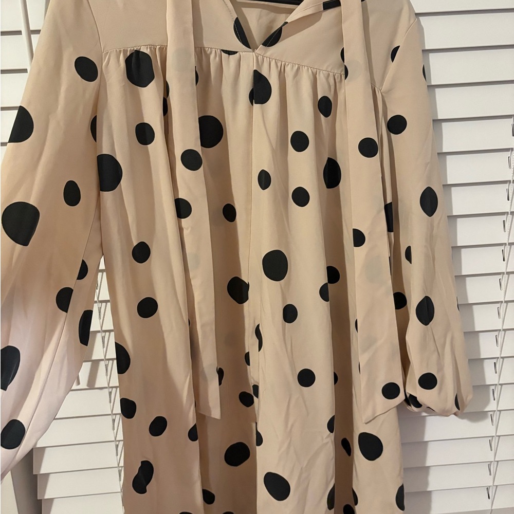 Polka Dot Long Sleeve Dress